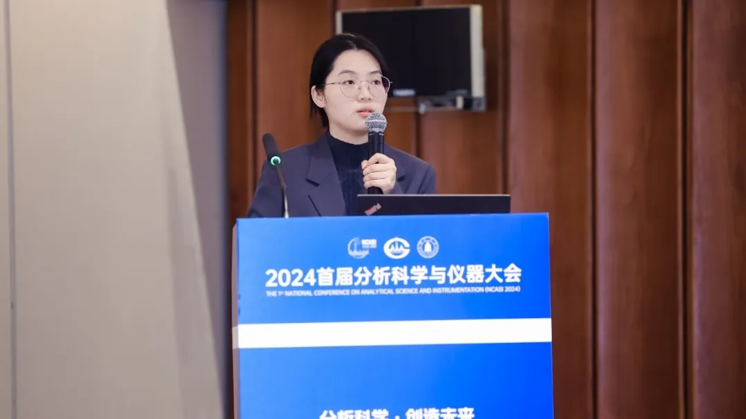 报告