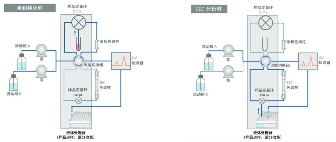 案例