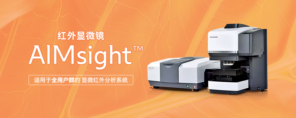 AIMsight