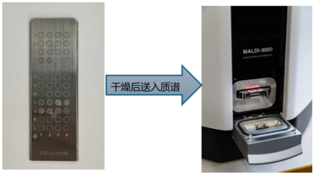 分子量