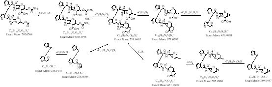 药典