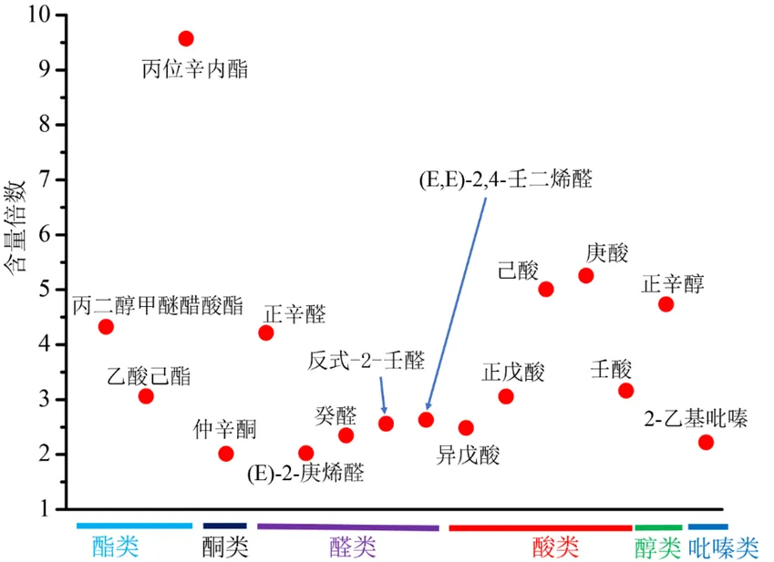 药典