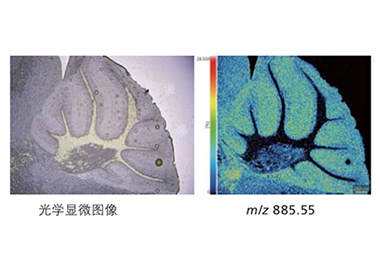 高效分析