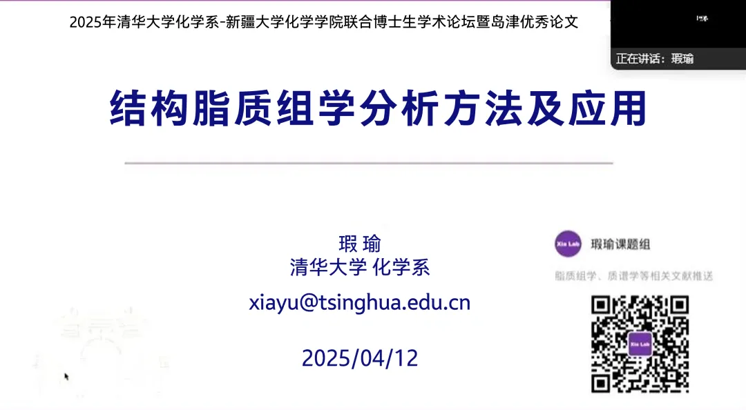 报告