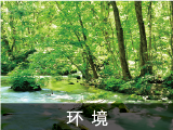 环境
